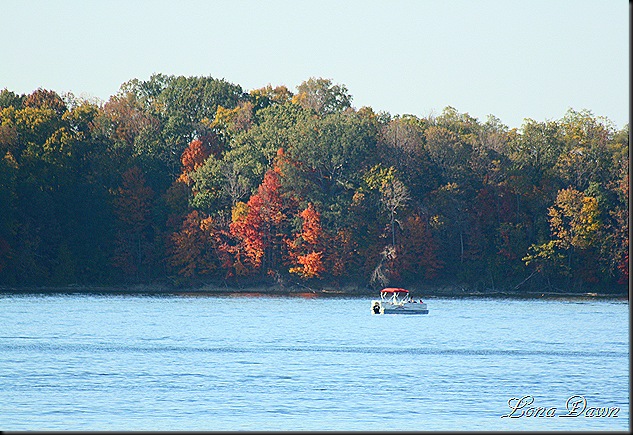Nature's Scenic View: Fall at Caesar Creek State Park Lake
